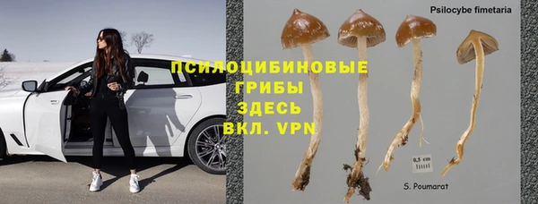 прущая мука Балахна