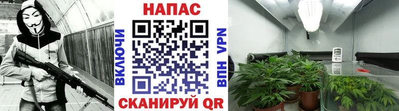 МАРИХУАНА ГИДРОПОН  купить наркотики цена  Хадыженск 